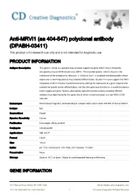 Anti-MRVI1 (Aa 404-547) Polyclonal Antibody (DPABH-03411) This Product Is for Research Use Only and Is Not Intended for Diagnostic Use