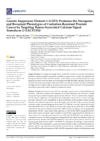 Genetic Suppressor Element 1 (GSE1) Promotes the Oncogenic and Recurrent Phenotypes of Castration-Resistant Prostate Cancer by T