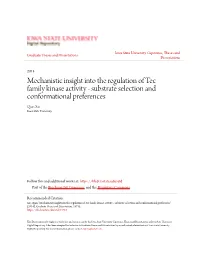 Mechanistic Insight Into the Regulation of Tec Family Kinase Activity - Substrate Selection and Conformational Preferences Qian Xie Iowa State University