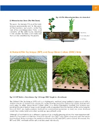(NFT) and Deep Water Culture (DWC) Units