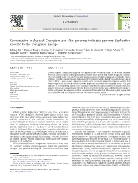 Comparative Analysis of Gossypium and Vitis Genomes Indicates Genome Duplication Speciﬁc to the Gossypium Lineage