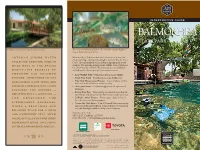 Interpretive Guide to Balmorhea State Park