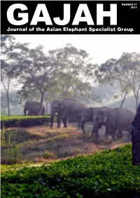 Gajah-47.Pdf