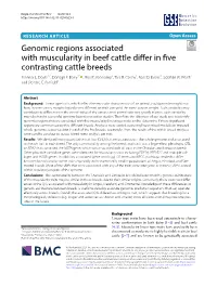 Genomic Regions Associated with Muscularity in Beef Cattle Differ In