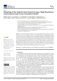 Modeling of the Turkish Strait System Using a High Resolution Unstructured Grid Ocean Circulation Model