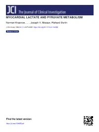 Myocardial Lactate and Pyruvate Metabolism