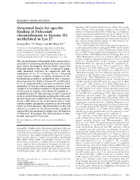 Structural Basis for Specific Binding of Polycomb Chromodomain to Histone H3 Methylated at Lys 27