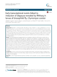 Early Transcriptional Events Linked to Induction of Diapause Revealed By