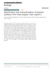 Identification and Characterization of Piperine Synthase from Black