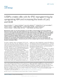 C/EBP Creates Elite Cells for Ipsc Reprogramming by Upregulating