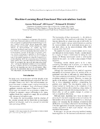 Machine-Learning-Based Functional Microcirculation Analysis