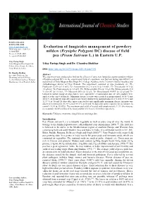 Evaluation of Fungicides Management of Powdery Mildew (Erysiphe