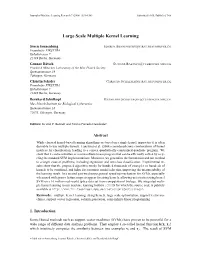 Large Scale Multiple Kernel Learning