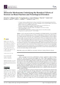 Molecular Mechanisms Underlying the Beneficial Effects of Exercise On