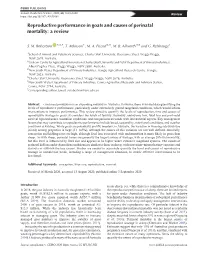 Reproductive Performance in Goats and Causes of Perinatal Mortality: a Review