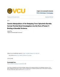 Genetic Manipulation of the Relapsing Fever Spirochete Borrelia Hermsii Permits Novel Investigation Into the Role of Factor H Binding in Borrelial Virulence