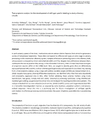 Transcriptome Analysis for the Development of Cell-Type Specific Labeling to Study Olfactory Circuits