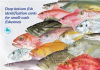 Deep-Bottom Fish Identification Cards for Small-Scale Fishermen