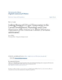 Linking Rising Pco2 and Temperature to the Larval