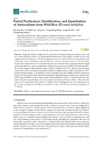 Partial Purification, Identification, and Quantitation of Antioxidants From