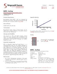 RIPK1, Active Recombinant Mouse Protein Expressed in Sf9 Cells