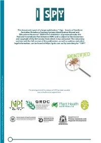 Important Insect Groups and Identification Keys