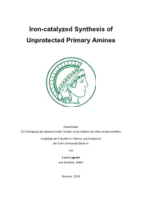Iron-Catalyzed Synthesis of Unprotected Primary Amines