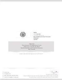 Redalyc.Primus Inter Pares: the Ruling House of Cocom