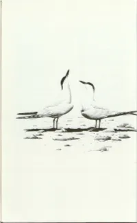 Ecology and Conservation of Birds of the Salton Sink: An