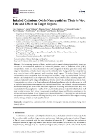 Inhaled Cadmium Oxide Nanoparticles: Their in Vivo Fate and Effect on Target Organs