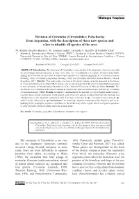 Revision of Cirratulus (Cirratulidae: Polychaeta) from Argentina, with the Description of Three New Species and a Key to Identify All Species of the Area