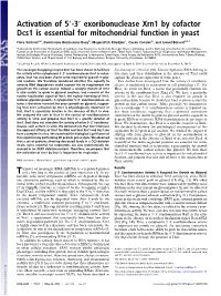 Exoribonuclease Xrn1 by Cofactor Dcs1 Is Essential for Mitochondrial Function in Yeast