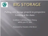 Putting New Storage Projects in Perspective Looking at the Dams