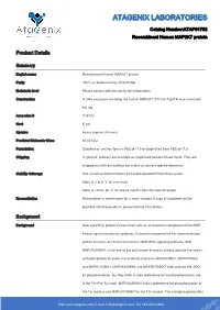 ATAP01752-Recombinant Human MAP2K7 Protein