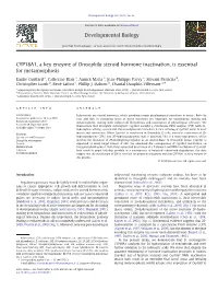 CYP18A1, a Key Enzyme of Drosophila Steroid Hormone Inactivation, Is Essential for Metamorphosis