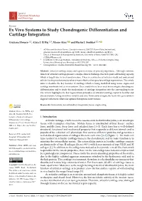 Ex Vivo Systems to Study Chondrogenic Differentiation and Cartilage Integration