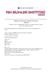 Pollen Morphology in the Genus Bolanthus (Ser.) Reichb