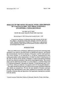 Telebasis, with a Description