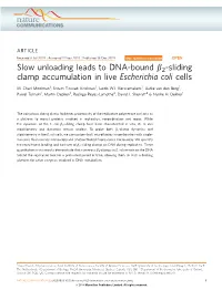 2-Sliding Clamp Accumulation in Live Escherichia Coli Cells
