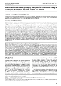 An Overview of the Taxonomy, Phylogeny, and Typification of Nectriaceous Fungi in Cosmospora, Acremonium, Fusarium, Stilbella, and Volutella