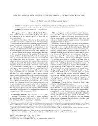 Carlyle A. Luer1 and Alv Toscano De