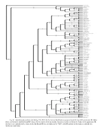 Fig. S1. Simultaneous-Analysis (Excluding ITS Rdna for the Former