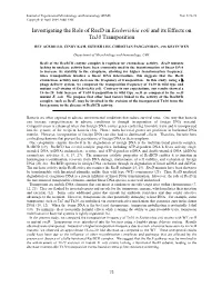 Investigating the Role of Recd in Escherichia Coli and Its Effects on Tn10 Transposition