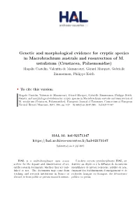 17, 289, Pp.1-27