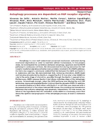 Autophagy Processes Are Dependent on EGF Receptor Signaling