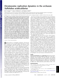 Chromosome Replication Dynamics in the Archaeon Sulfolobus Acidocaldarius