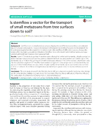 Is Stemflow a Vector for the Transport of Small Metazoans from Tree Surfaces