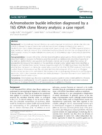 Achromobacter Buckle Infection Diagnosed by a 16S Rdna Clone