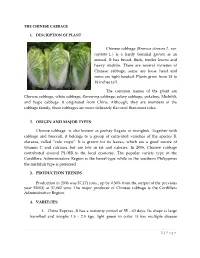 Chinese Cabbage