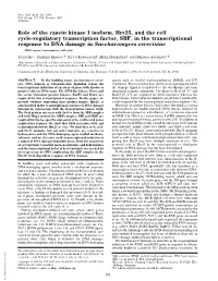Role of the Casein Kinase I Isoform, Hrr25, and the Cell Cycle-Regulatory